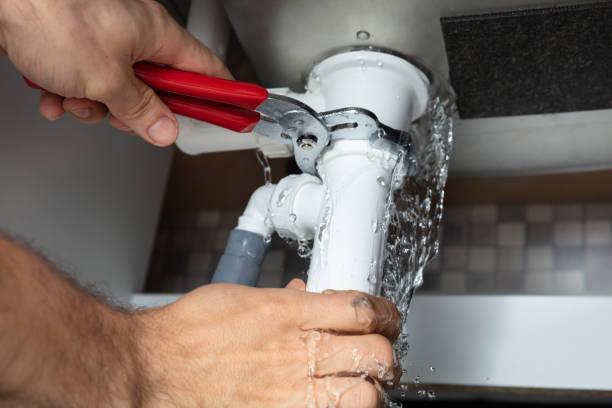 Best Residential water damage restoration  in Sauk Vlage, IL