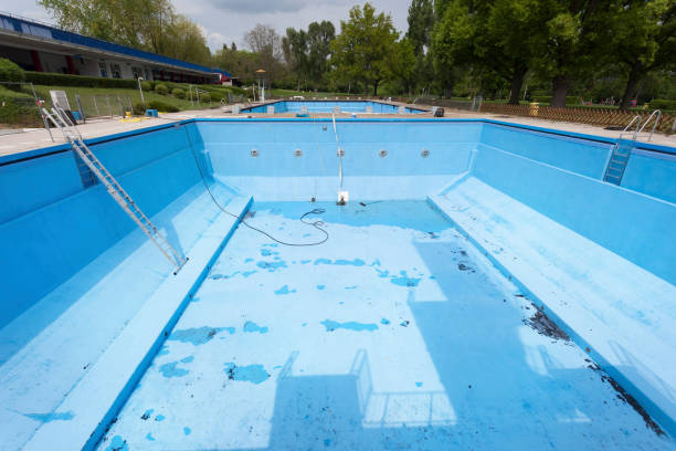 Best Basement water damage restoration  in Sauk Vlage, IL