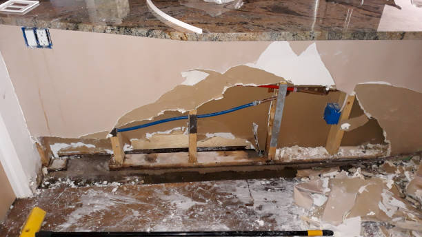 Best Local water damage restoration  in Sauk Vlage, IL