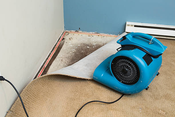 Best Emergency water damage restoration  in Sauk Vlage, IL